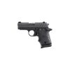 Sig Sauer P938 938M 9 BRG AMBI 798681504114.jpg 1