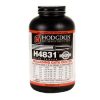 Hodgdon H4831