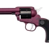 Ruger 22 Riffle